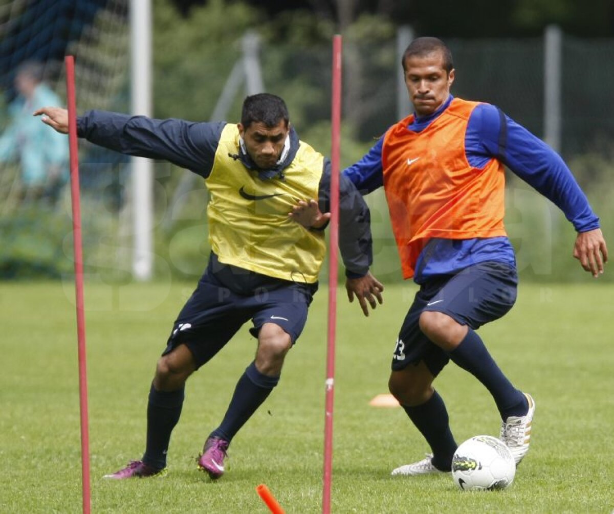 FOTO Aveţi grijă! Steliştii nu se mai iartă nici între ei!