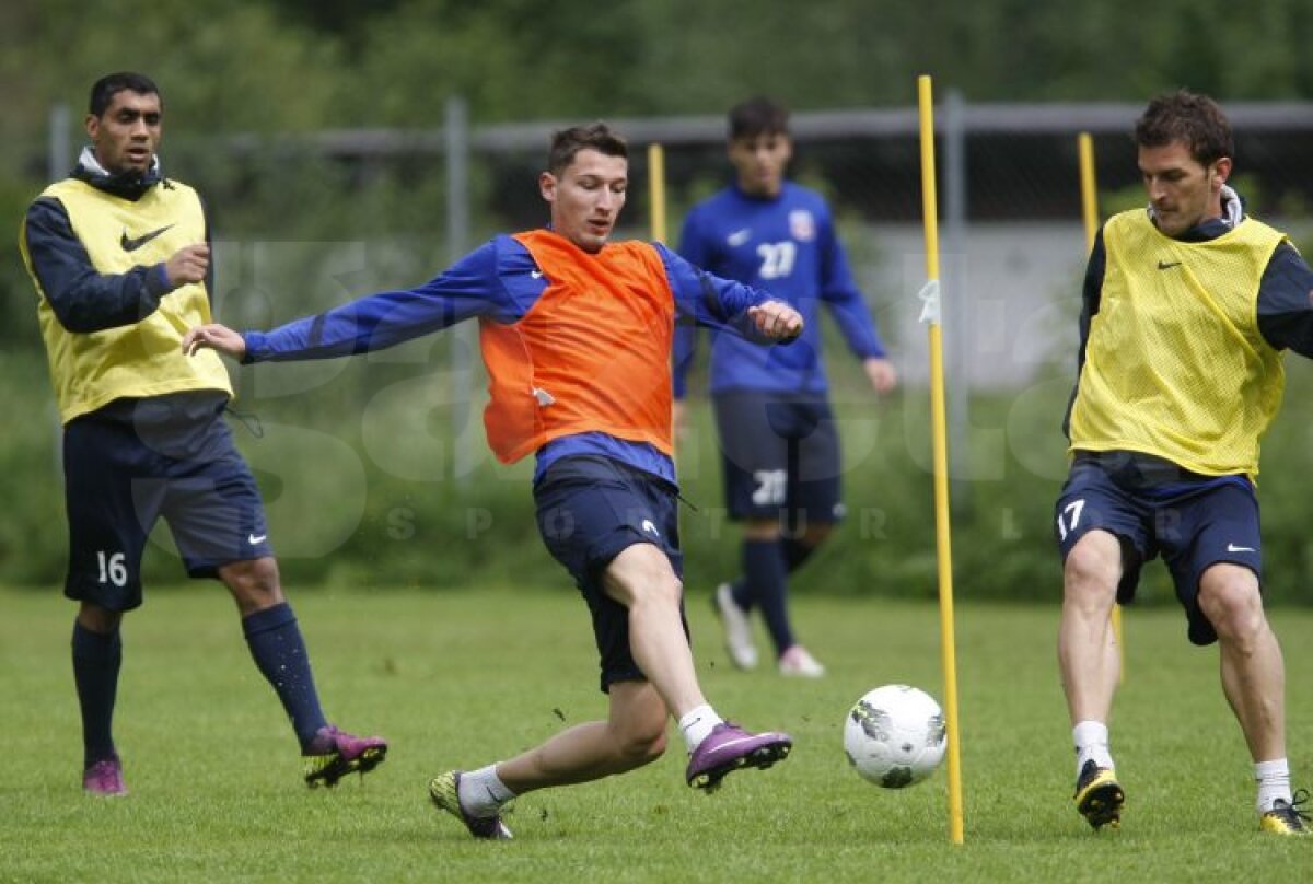 FOTO Aveţi grijă! Steliştii nu se mai iartă nici între ei!