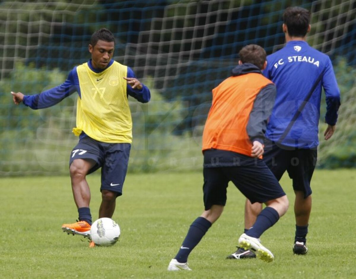 FOTO Aveţi grijă! Steliştii nu se mai iartă nici între ei!