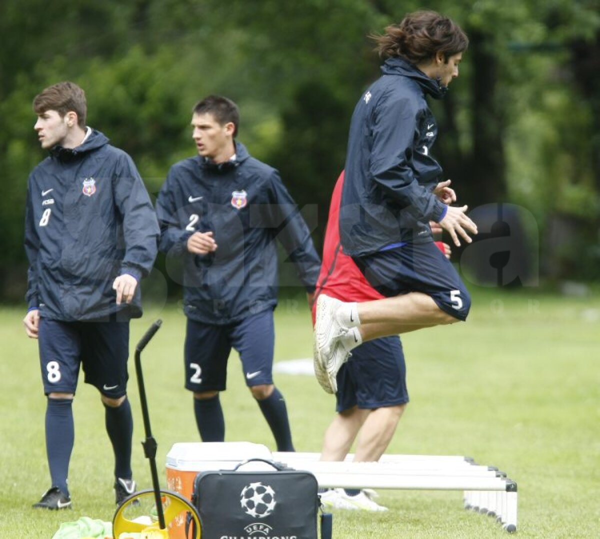 FOTO Aveţi grijă! Steliştii nu se mai iartă nici între ei!