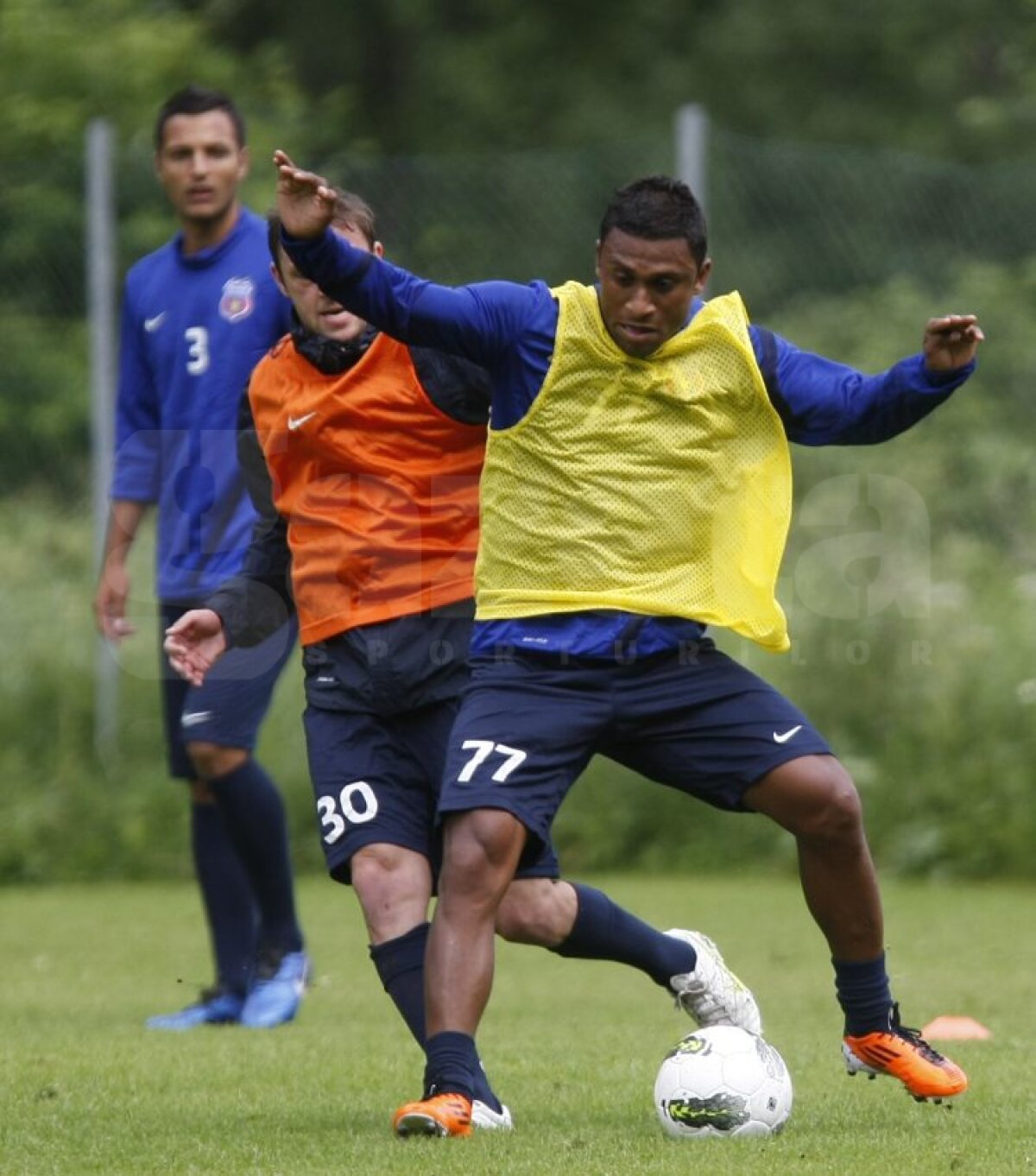 FOTO Aveţi grijă! Steliştii nu se mai iartă nici între ei!