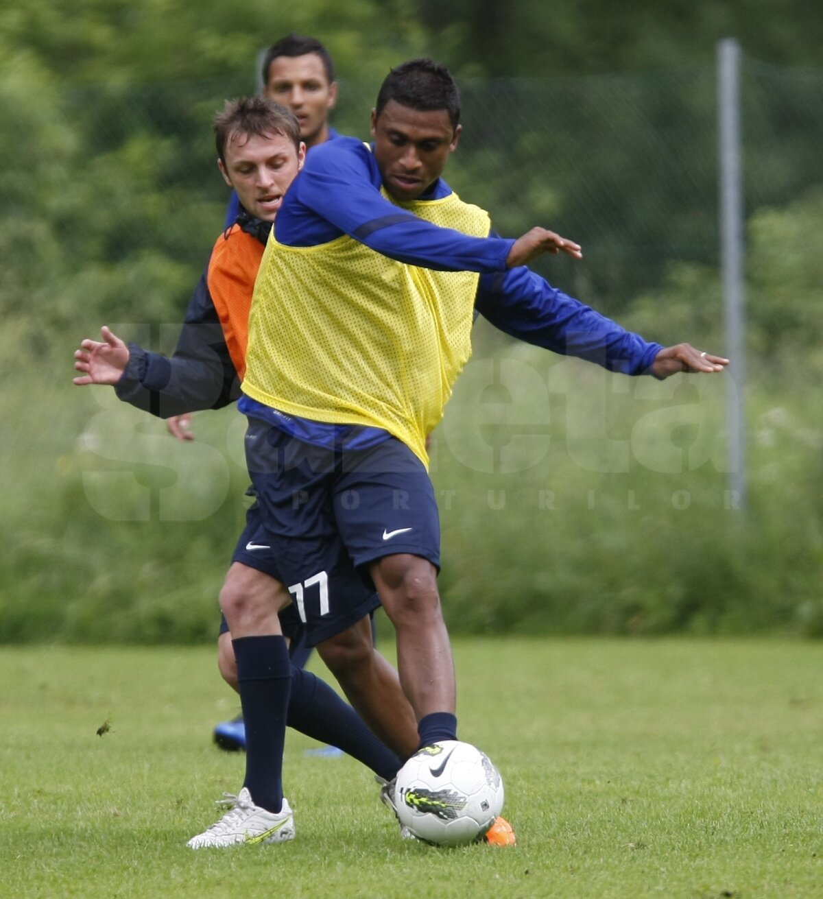 FOTO Aveţi grijă! Steliştii nu se mai iartă nici între ei!