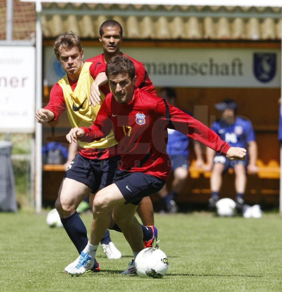 FOTO Steliştii, leşinaţi de căldură şi de antrenamentele lui Levy :S