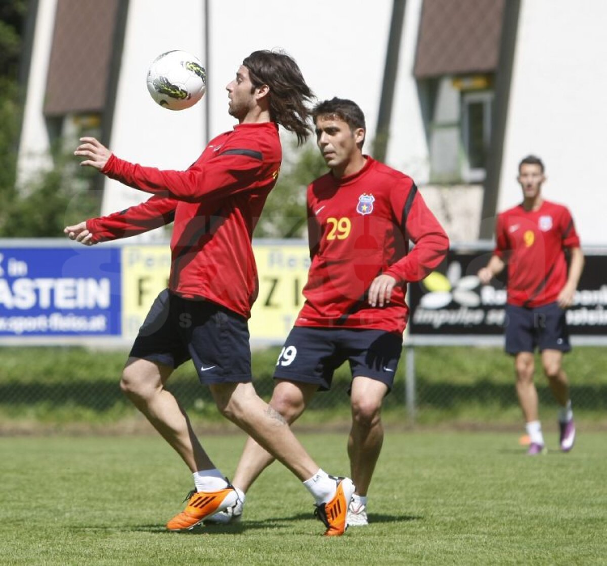 FOTO Steliştii, leşinaţi de căldură şi de antrenamentele lui Levy :S