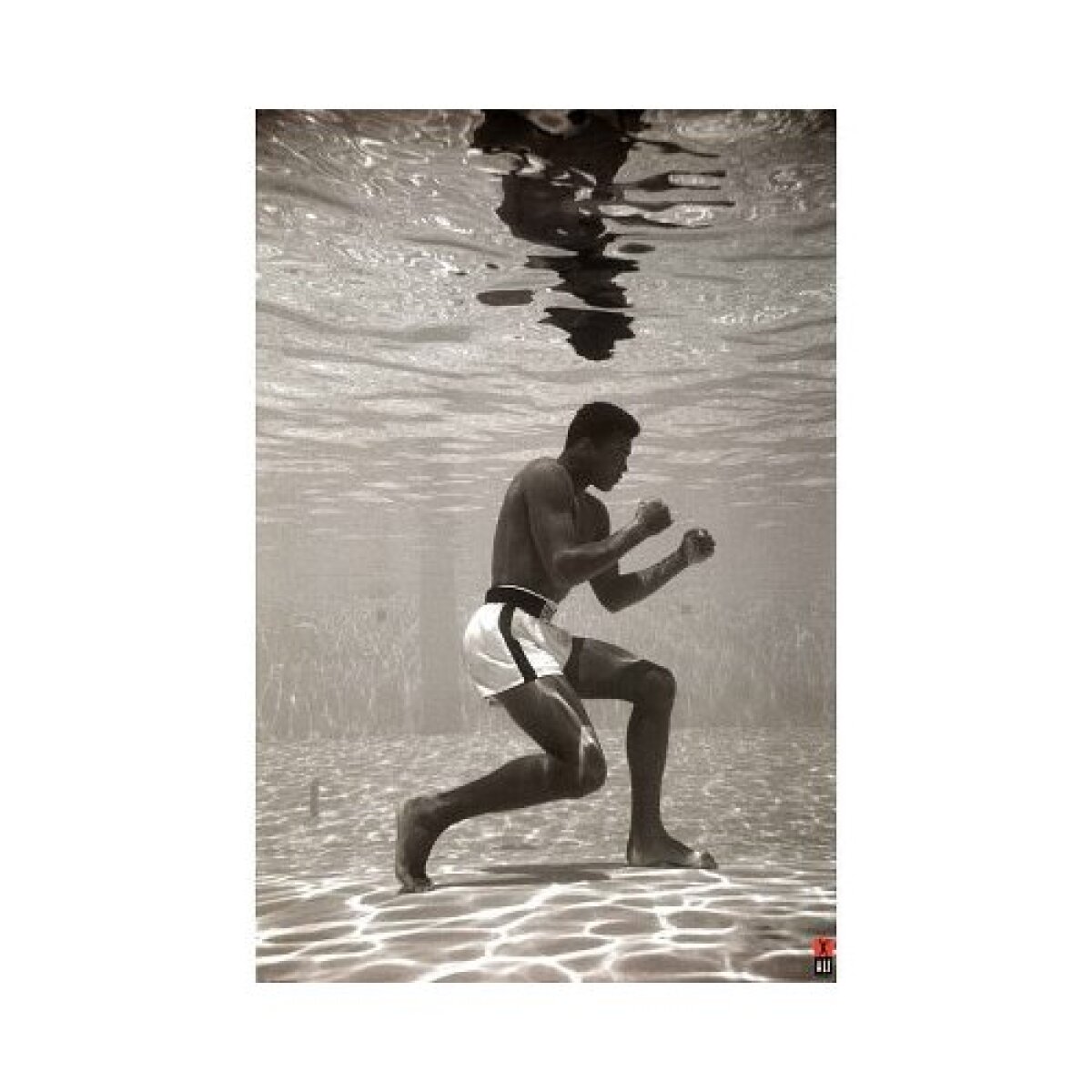 FOTO / Bute foloseşte metodele de antrenament inovate de Muhammad Ali