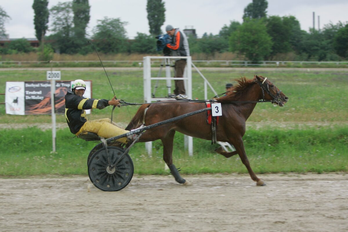 "Only you" a cîştigat derby-ul de trap al României. Vezi o GALERIE FOTO de la hipodromul din Ploieşti