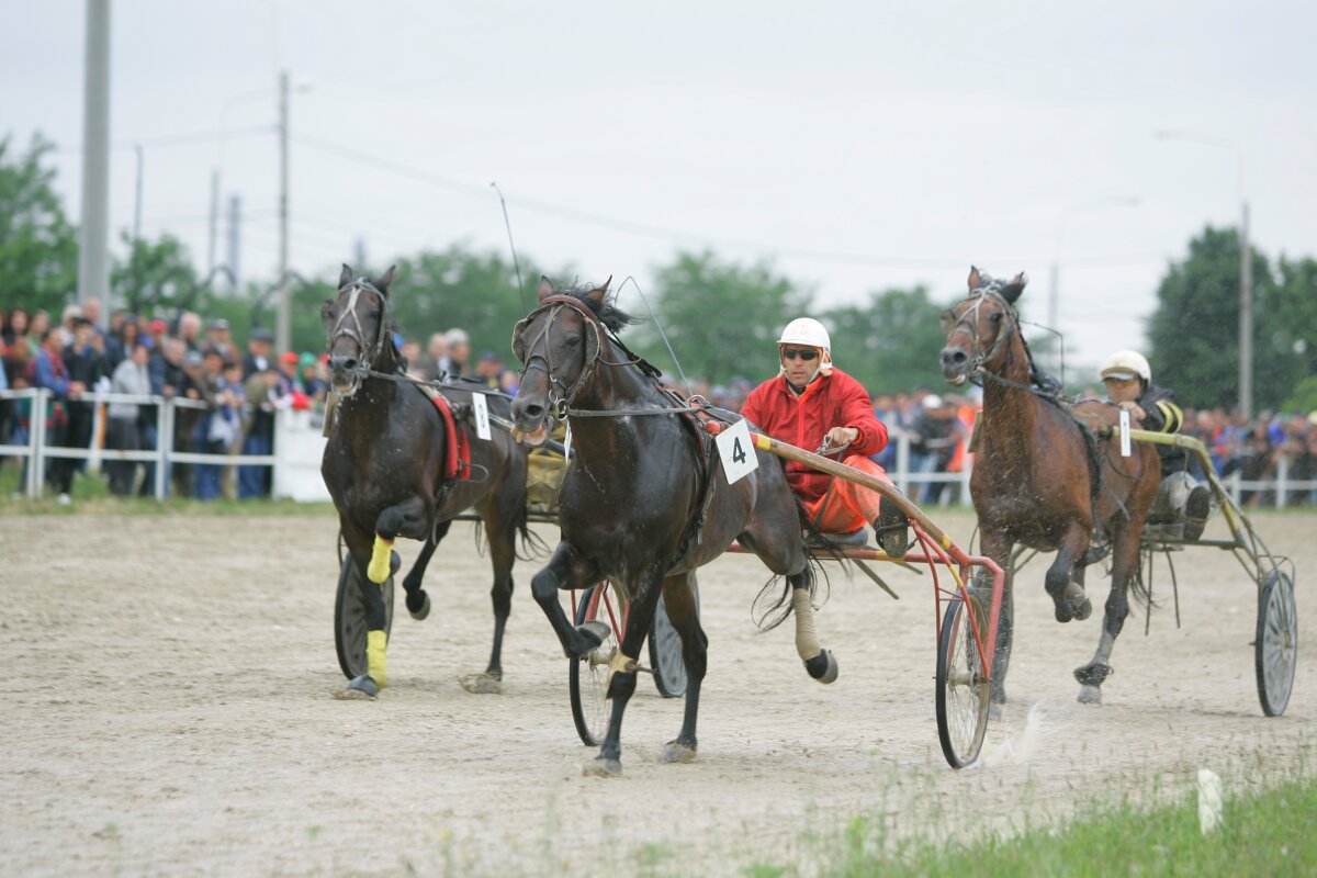 "Only you" a cîştigat derby-ul de trap al României. Vezi o GALERIE FOTO de la hipodromul din Ploieşti