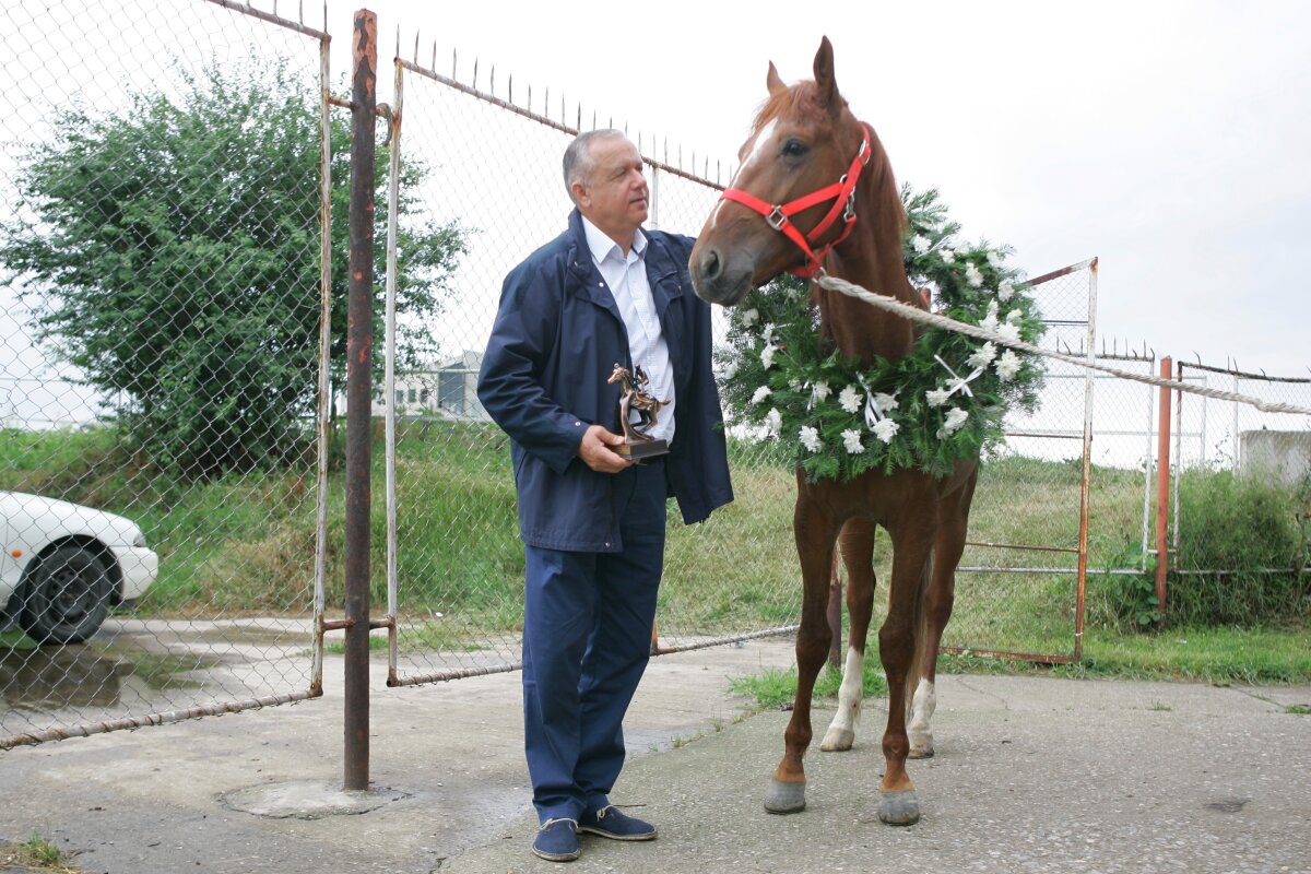 "Only you" a cîştigat derby-ul de trap al României. Vezi o GALERIE FOTO de la hipodromul din Ploieşti