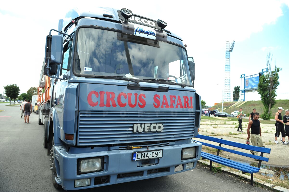 Mititelu şi-a luat amendă 200 de lei, dar a reuşit să mute Circul Safari de la arena Ion Oblemenco