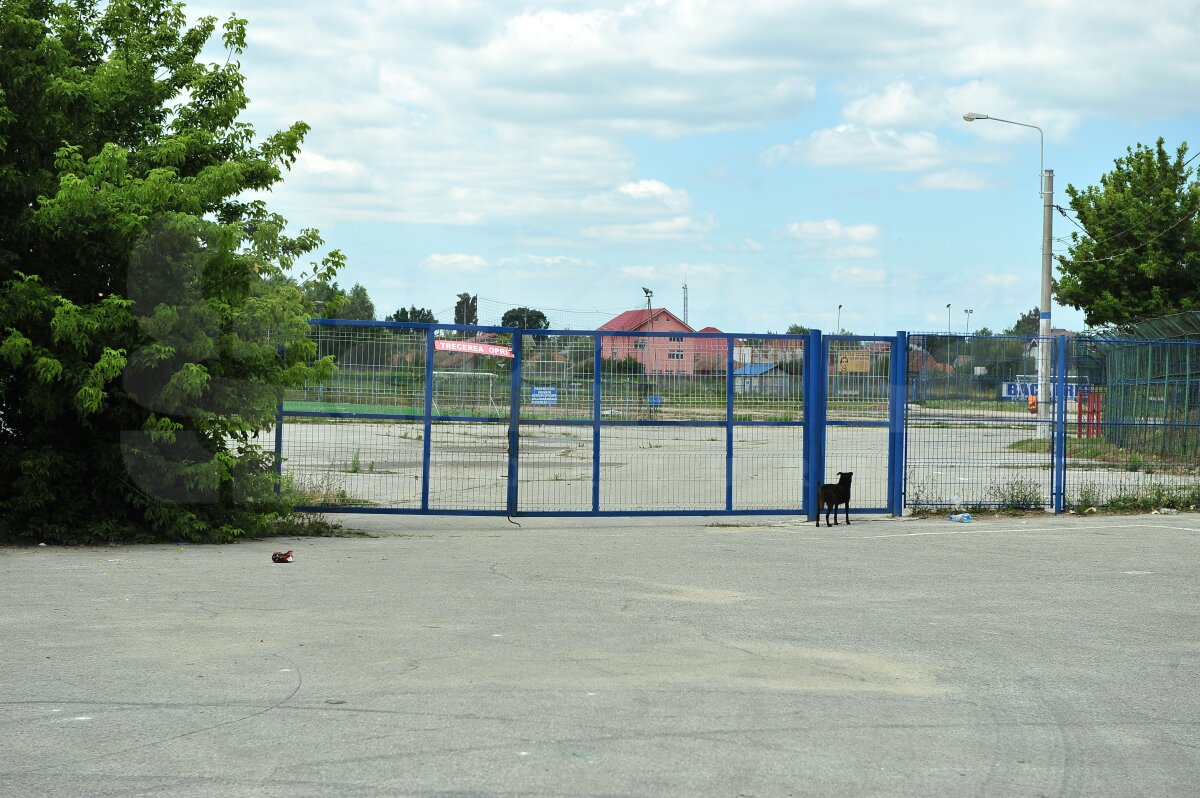 Mititelu şi-a luat amendă 200 de lei, dar a reuşit să mute Circul Safari de la arena Ion Oblemenco