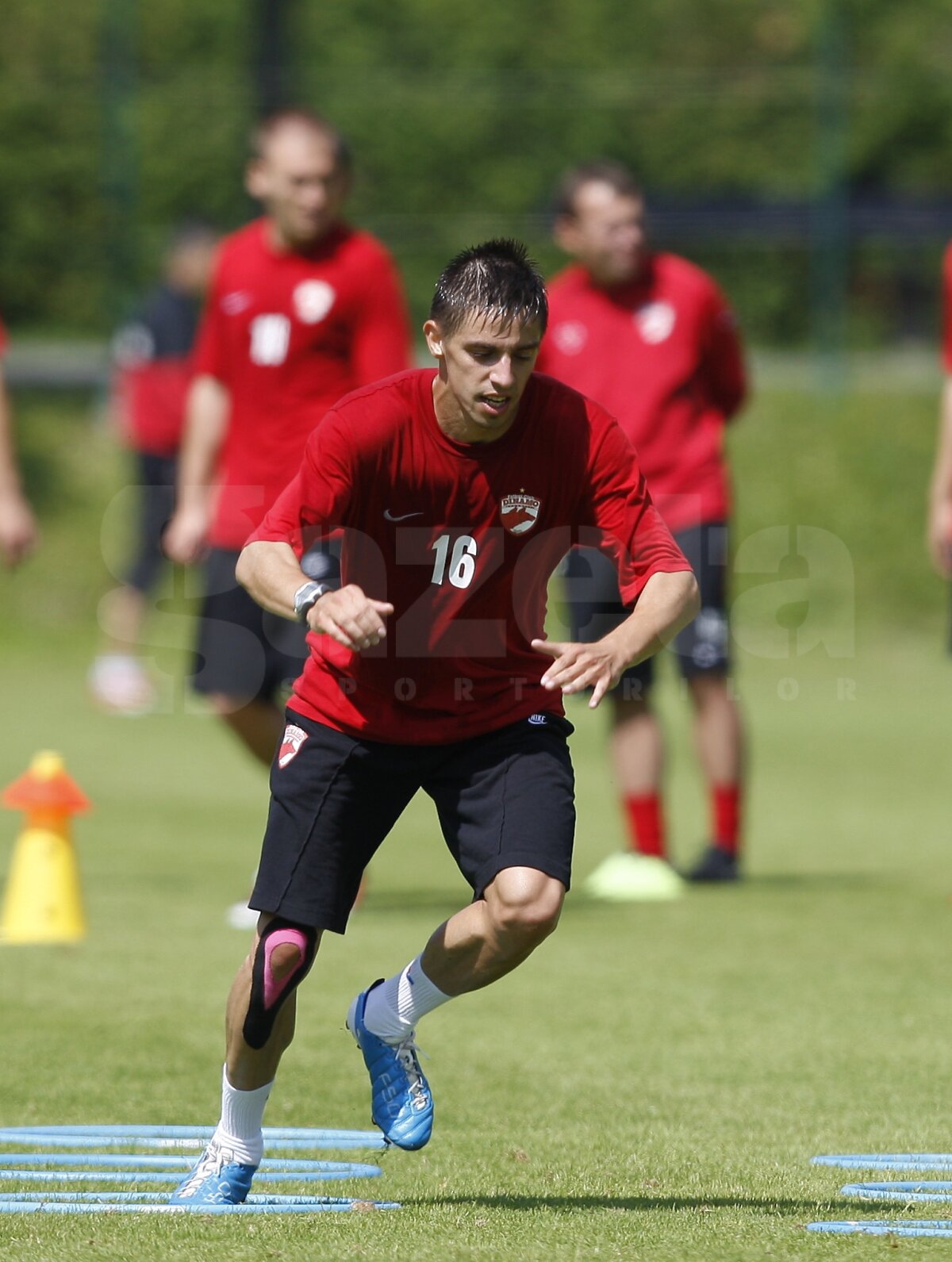 Dinamo-EAU nu se mai televizează, dar vei găsi toate informaţiile pe GSP.ro! "Cîinii", încă un meci programat