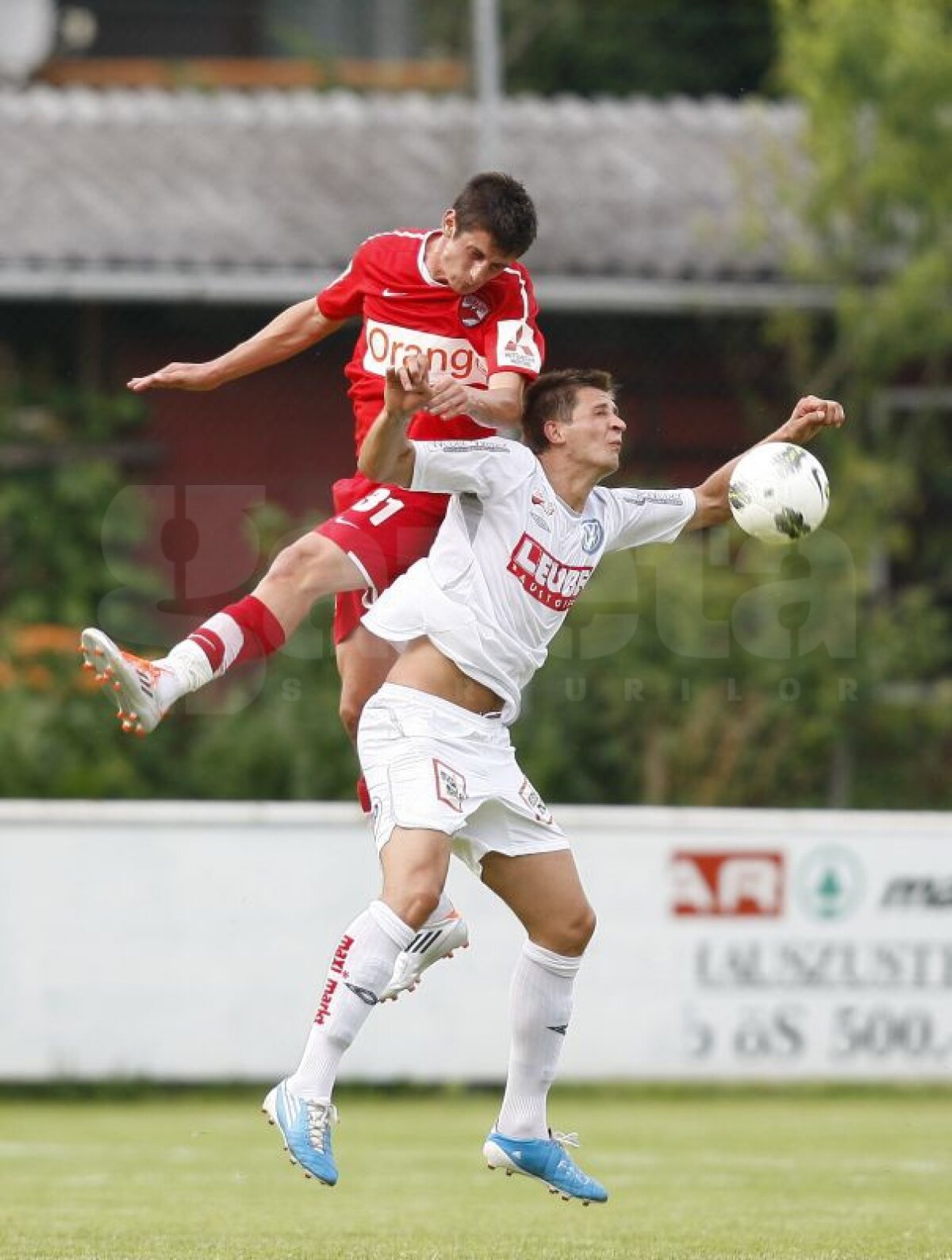 GALERIE FOTO » Dinamo - SK Anif 2-1 (Stănescu 57, Chiacu 78)