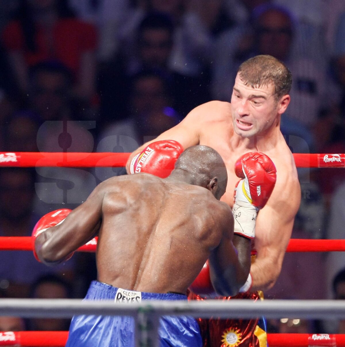 Mendy a rezistat numai 4 runde în faţa lui Bute: "Lovitură scurtă şi imprevizibilă!"