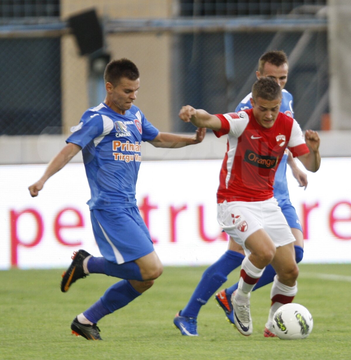 Ciobotariu a debutat cu victorie » Dinamo - FCM Tîrgu Mureş 1-0