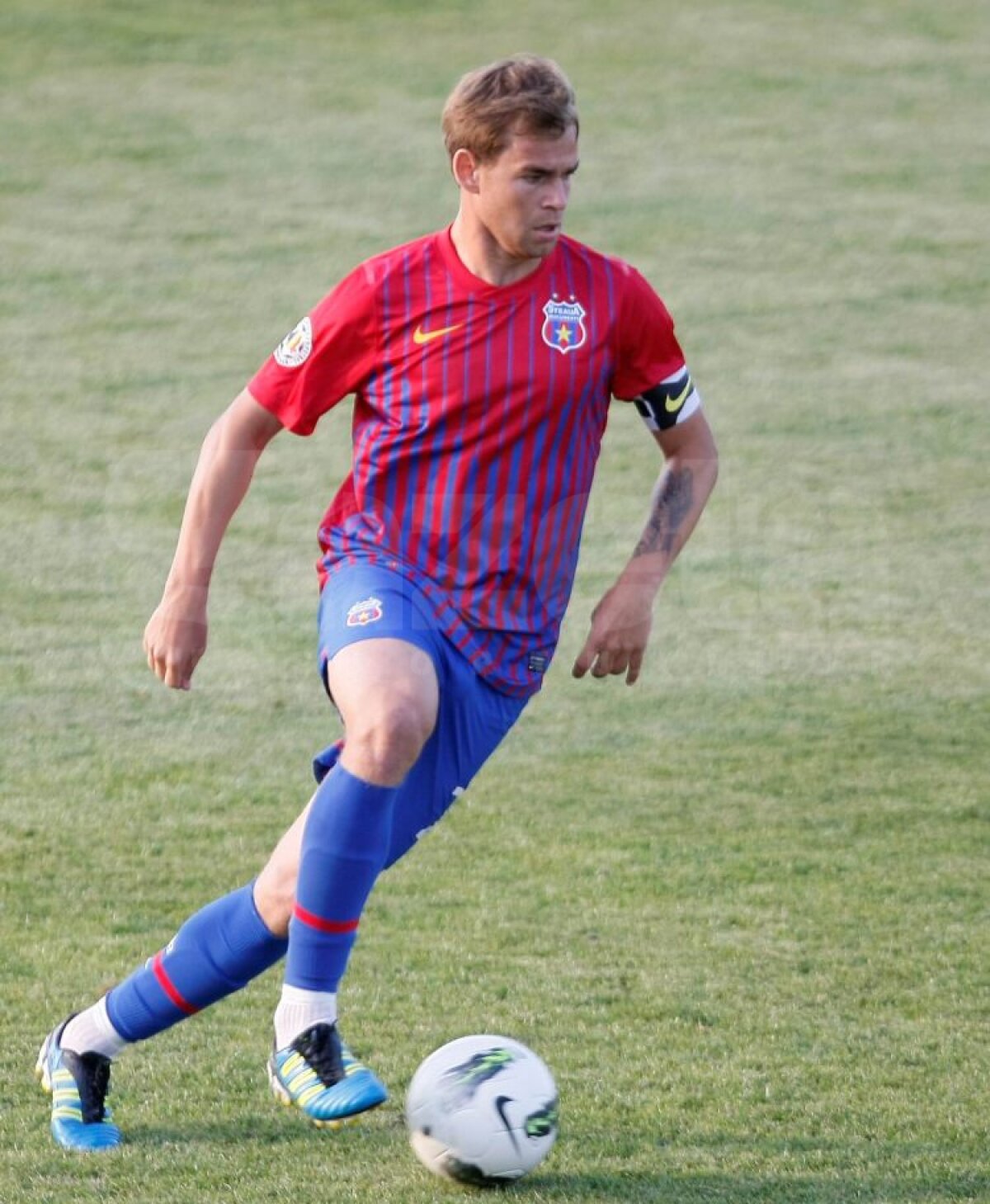 Steaua - CS Tunari 4-0 (Nikolici '5, '52, Burchelea ag. 48, Rusescu '54)