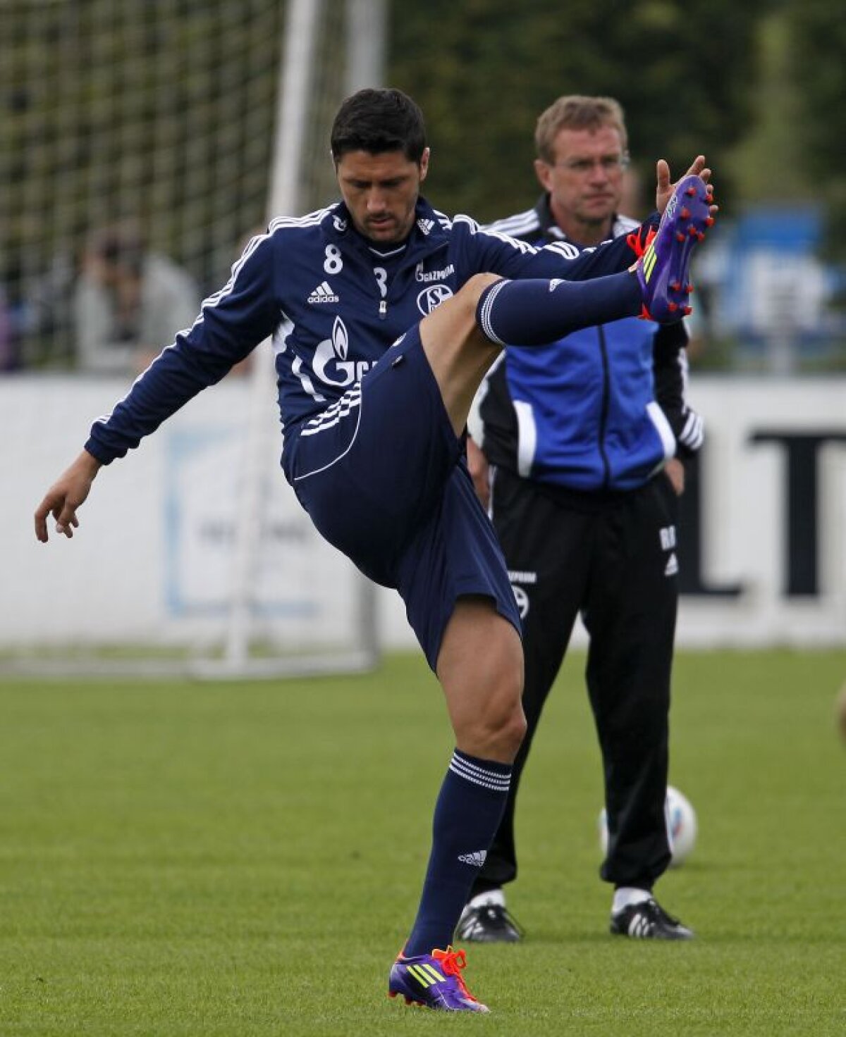 EXCLUSIV » Marica: "Cît o să mai plîngem după Argentina? Să jucăm cu San Marino şi să dea Mutu cinci goluri!"