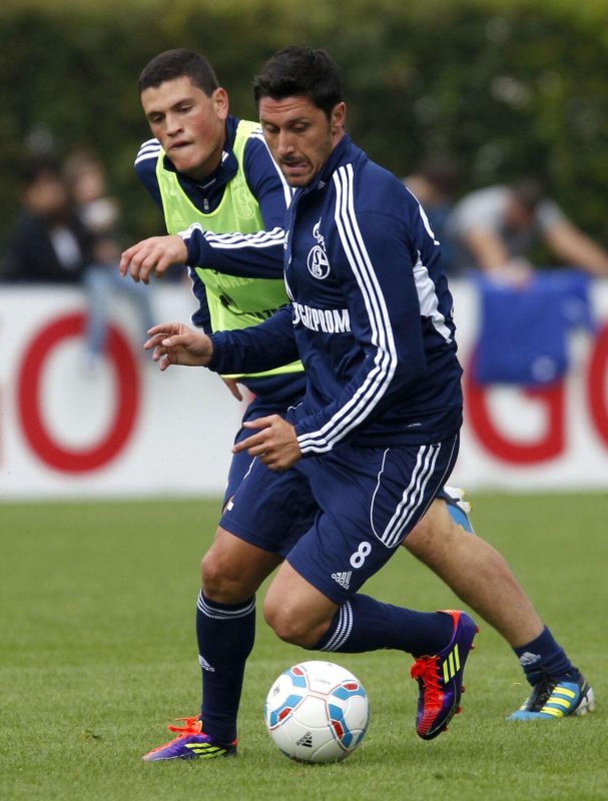 EXCLUSIV » Marica: "Cît o să mai plîngem după Argentina? Să jucăm cu San Marino şi să dea Mutu cinci goluri!"