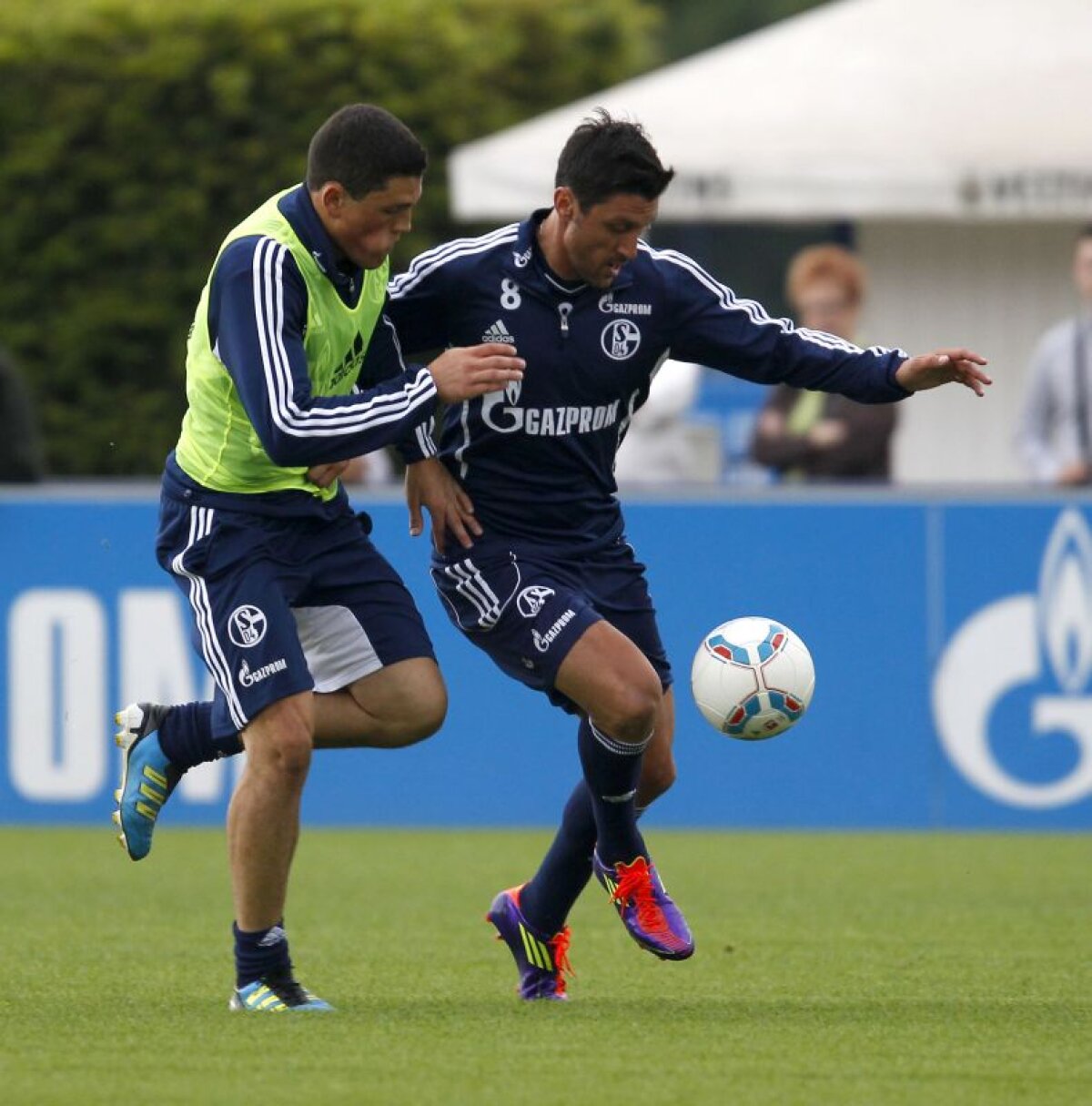 EXCLUSIV » Marica: "Cît o să mai plîngem după Argentina? Să jucăm cu San Marino şi să dea Mutu cinci goluri!"