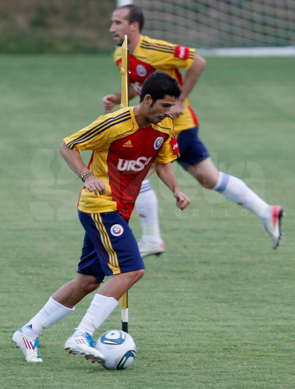 Luchin s-a alăturat "tricolorilor", Marica se antrenează separat