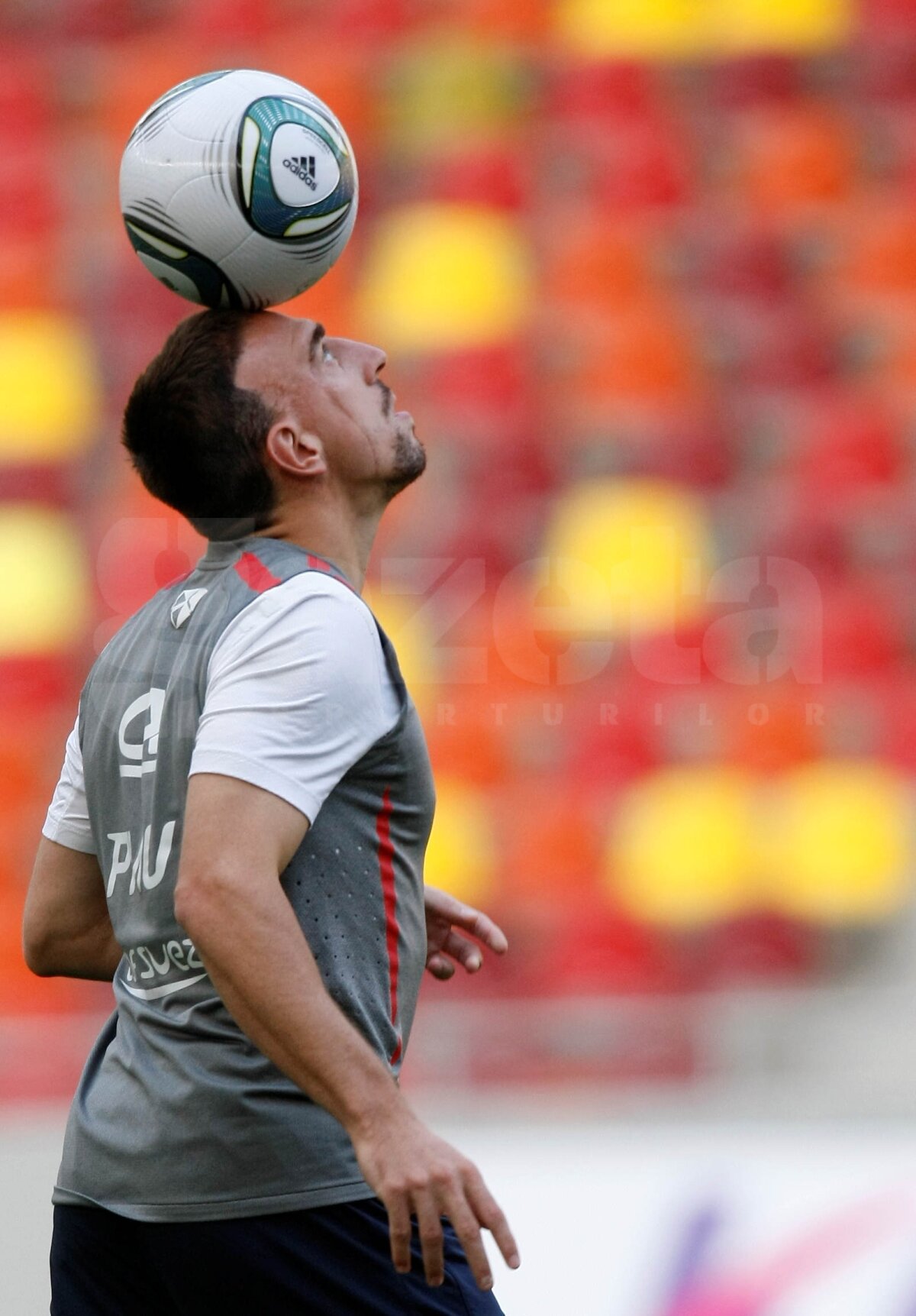 FOTO Francezii au efectuat antrenamentul oficial pe National Arena!