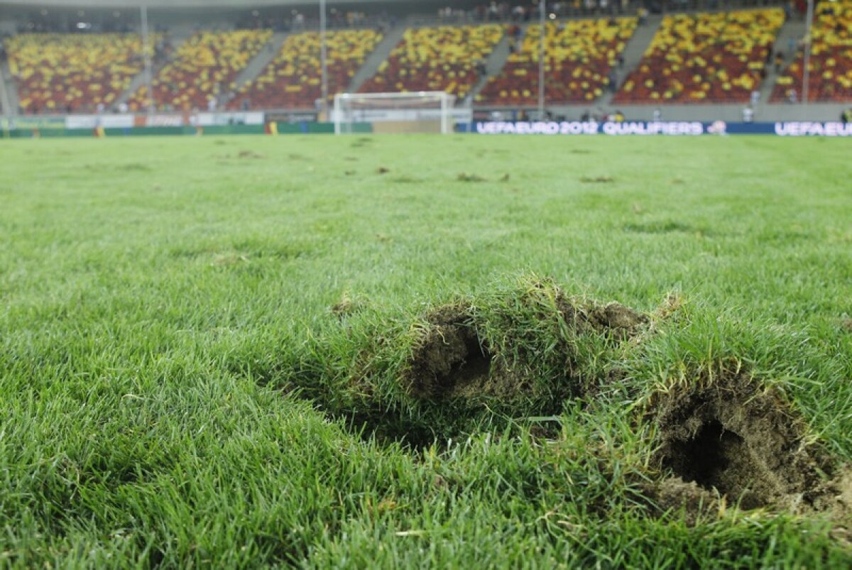 FOTO La ţară e mai bine! Cititorii au trimis pe gazeta@gsp.ro poze cu gazonul din comuna lor