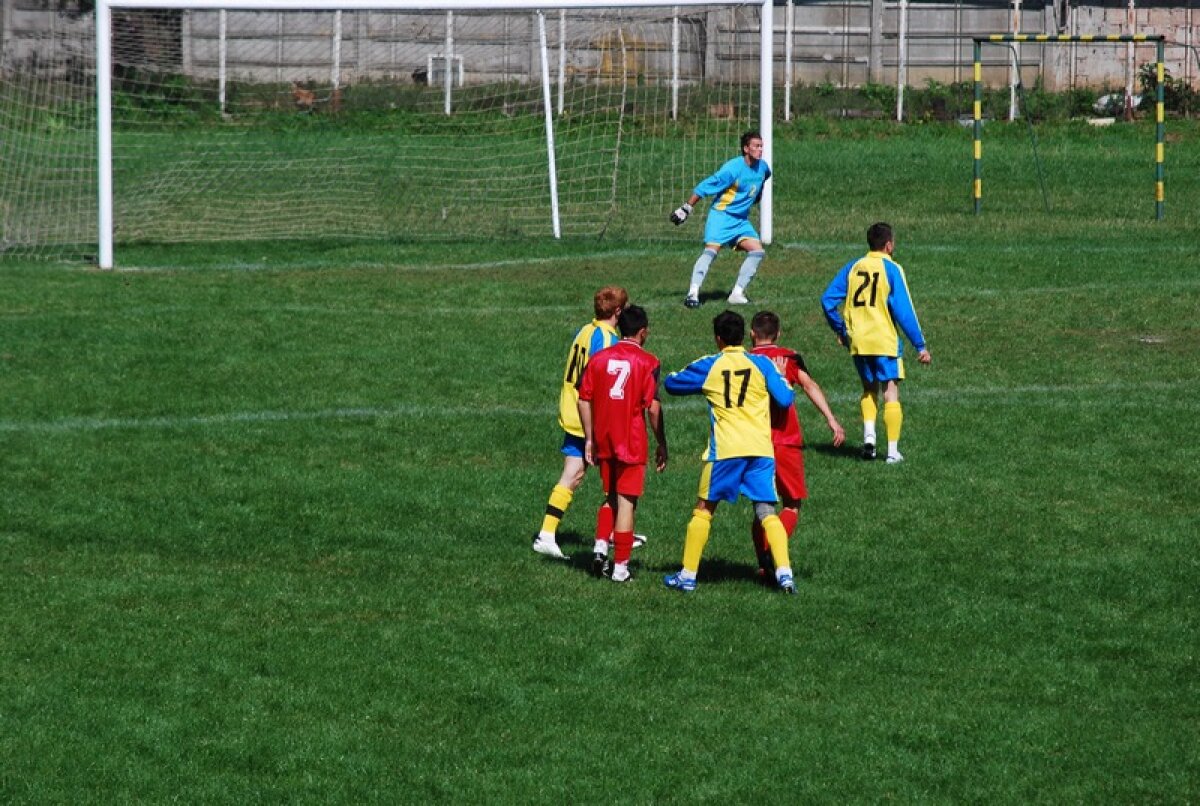 FOTO La ţară e mai bine! Cititorii au trimis pe gazeta@gsp.ro poze cu gazonul din comuna lor