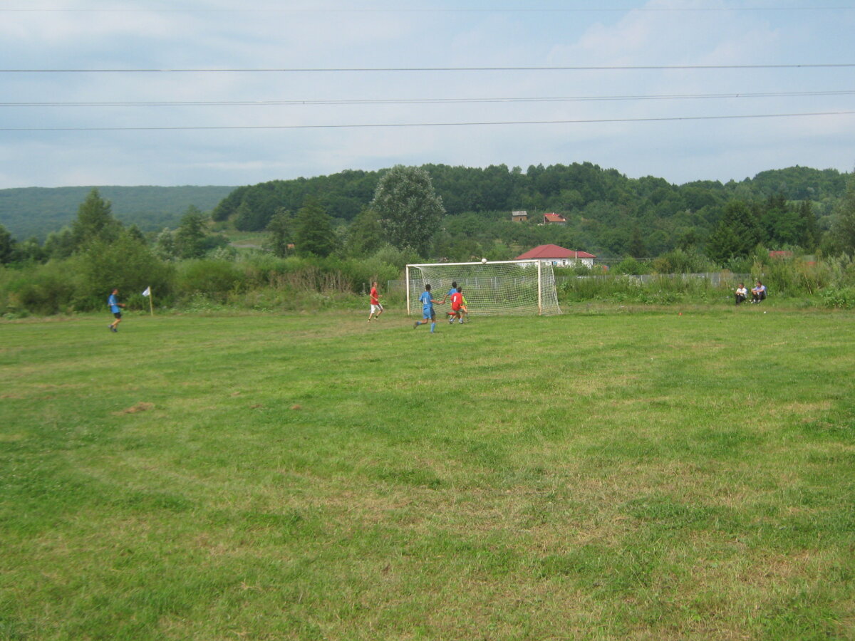 FOTO La ţară e mai bine! Cititorii au trimis pe gazeta@gsp.ro poze cu gazonul din comuna lor