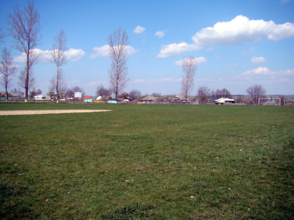 FOTO La ţară e mai bine! Cititorii au trimis pe gazeta@gsp.ro poze cu gazonul din comuna lor