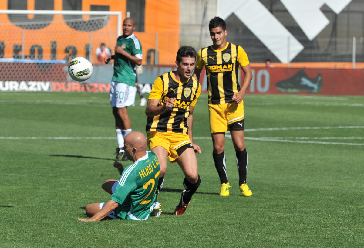 Primăria vrea să-l elimine de pe Naţional Arena » Oprişan out! Vezi ce stadioane a mai construit omul de afaceri