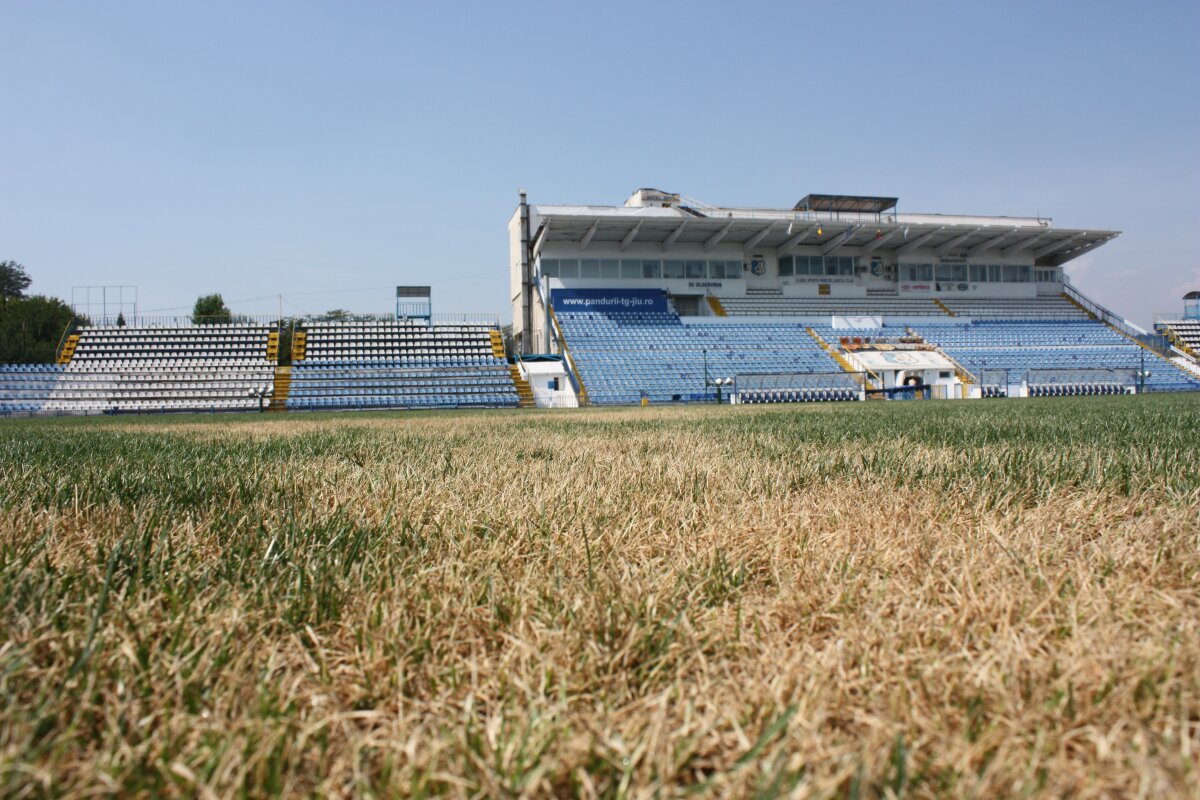 Primăria vrea să-l elimine de pe Naţional Arena » Oprişan out! Vezi ce stadioane a mai construit omul de afaceri