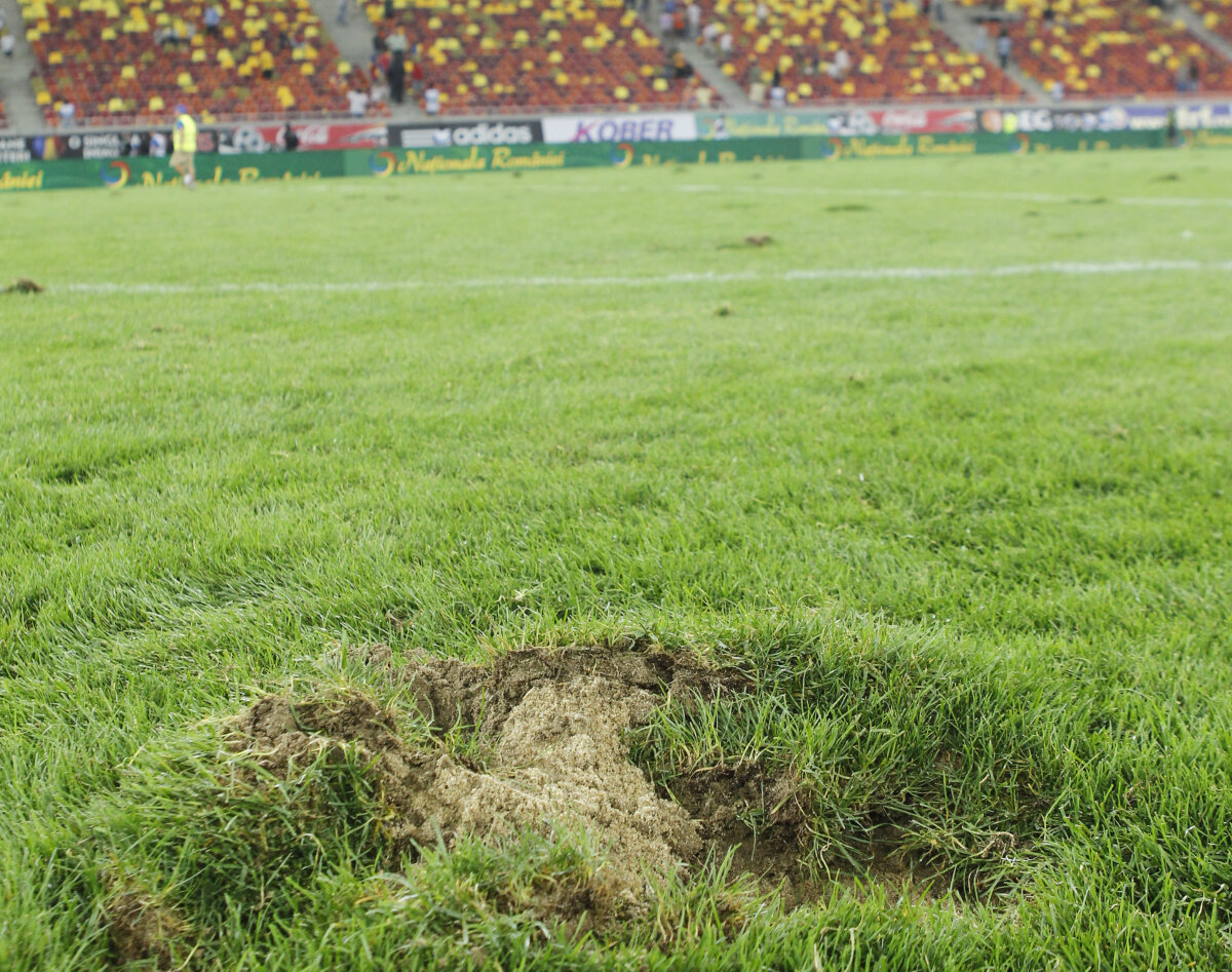 E OFICIAL: FRF anunţă schimbarea gazonului şi echipele româneşti pot evolua pe National Arena!