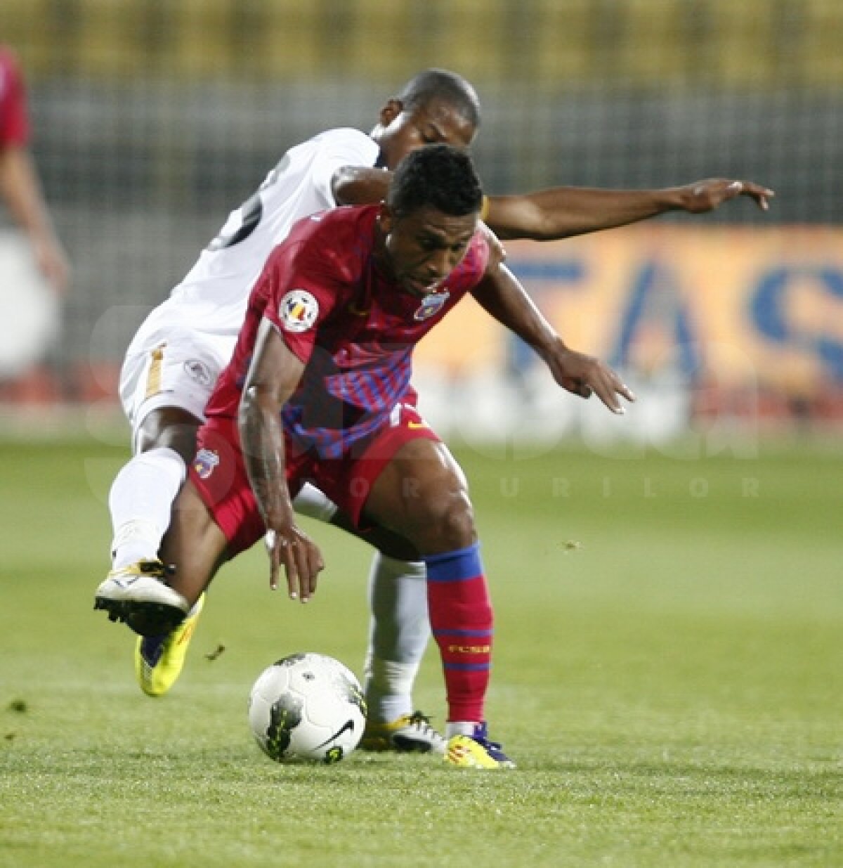 Steaua s-a făcut de rîs la Mediaş » Gaz Metan - Steaua 3-0