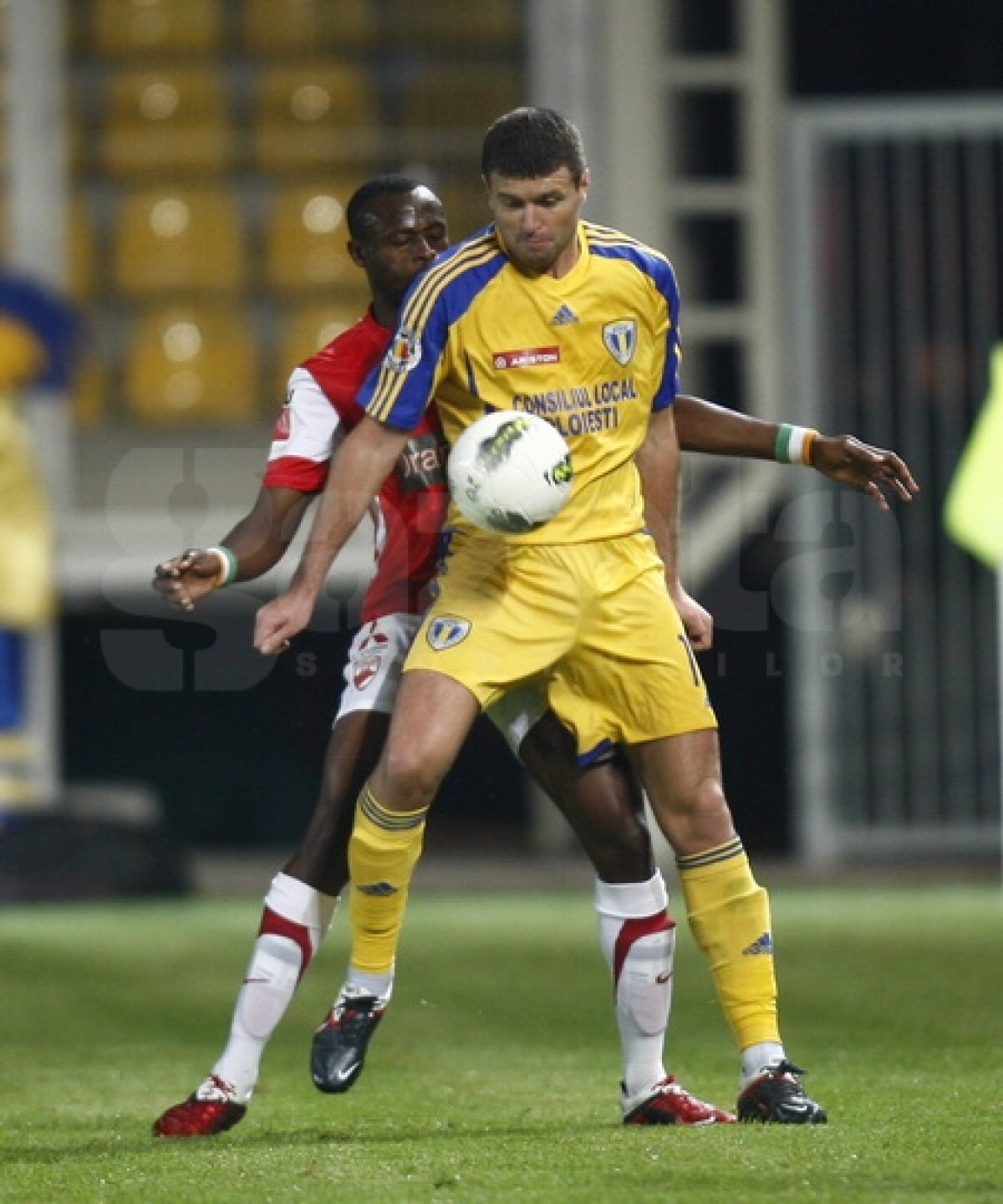 "Cîinii" au făcut spectacol la Ploieşti » Petrolul - Dinamo 1-5