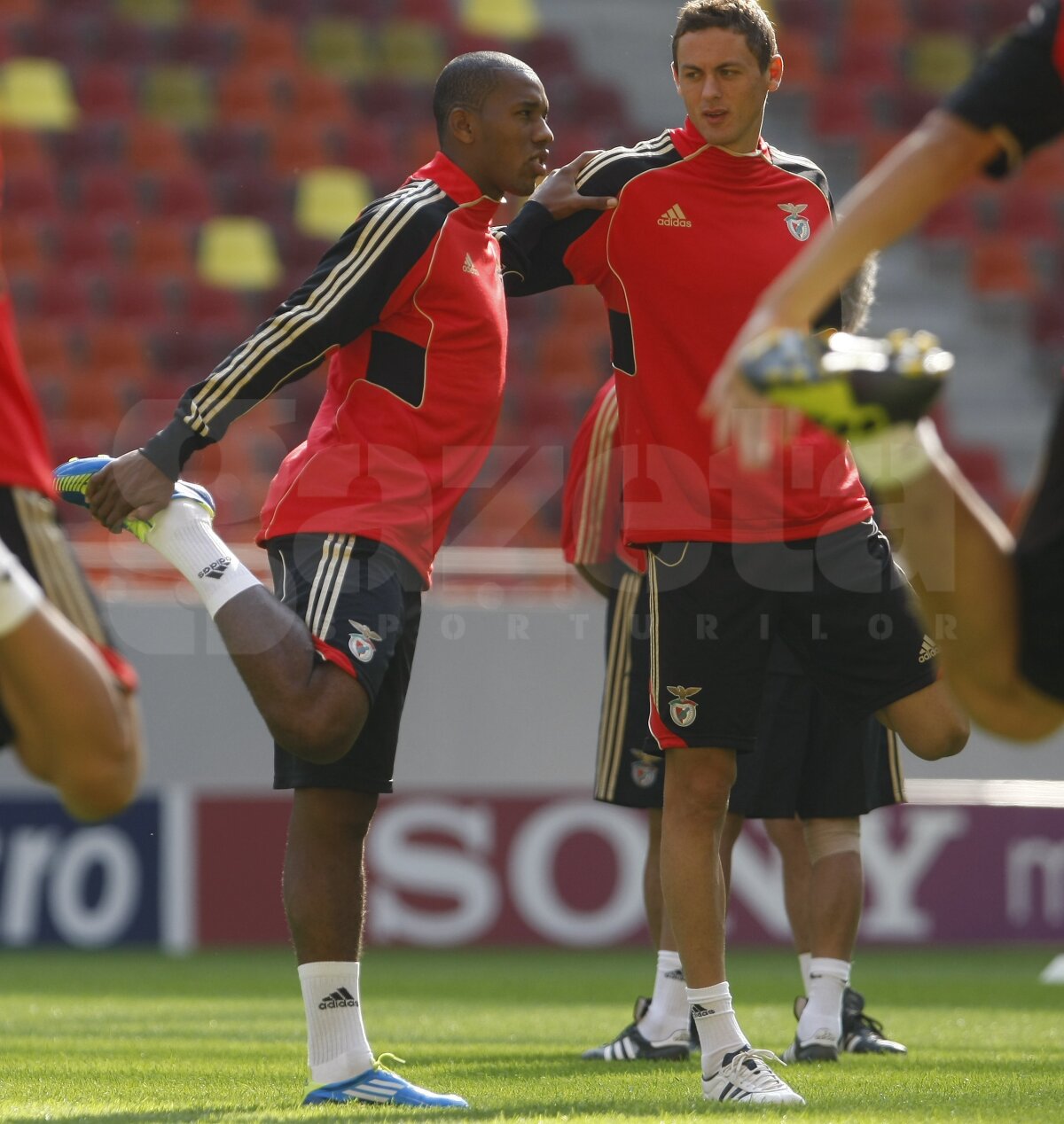 FOTO Benfica s-a antrenat pe terenul de coşmar de la România - Franţa. Rezistă!