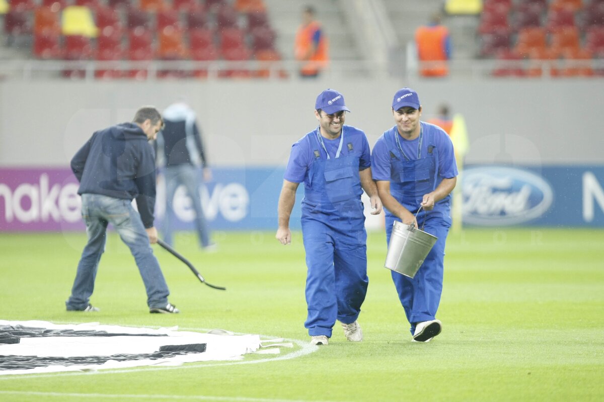 FOTO Am găsit soluţia pentru iarba de pe Naţional Arena » Băgăm spaima-n cîrtiţe :D