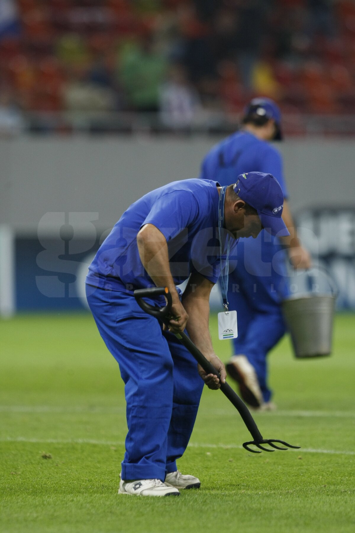 FOTO Am găsit soluţia pentru iarba de pe Naţional Arena » Băgăm spaima-n cîrtiţe :D
