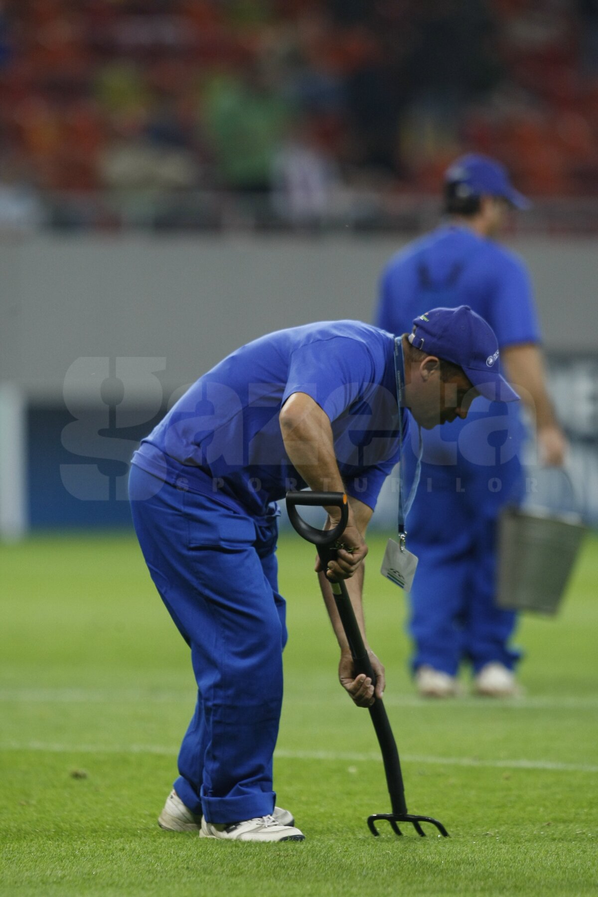 FOTO Am găsit soluţia pentru iarba de pe Naţional Arena » Băgăm spaima-n cîrtiţe :D