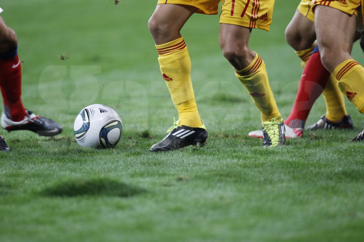 FOTO Am găsit soluţia pentru iarba de pe Naţional Arena » Băgăm spaima-n cîrtiţe :D