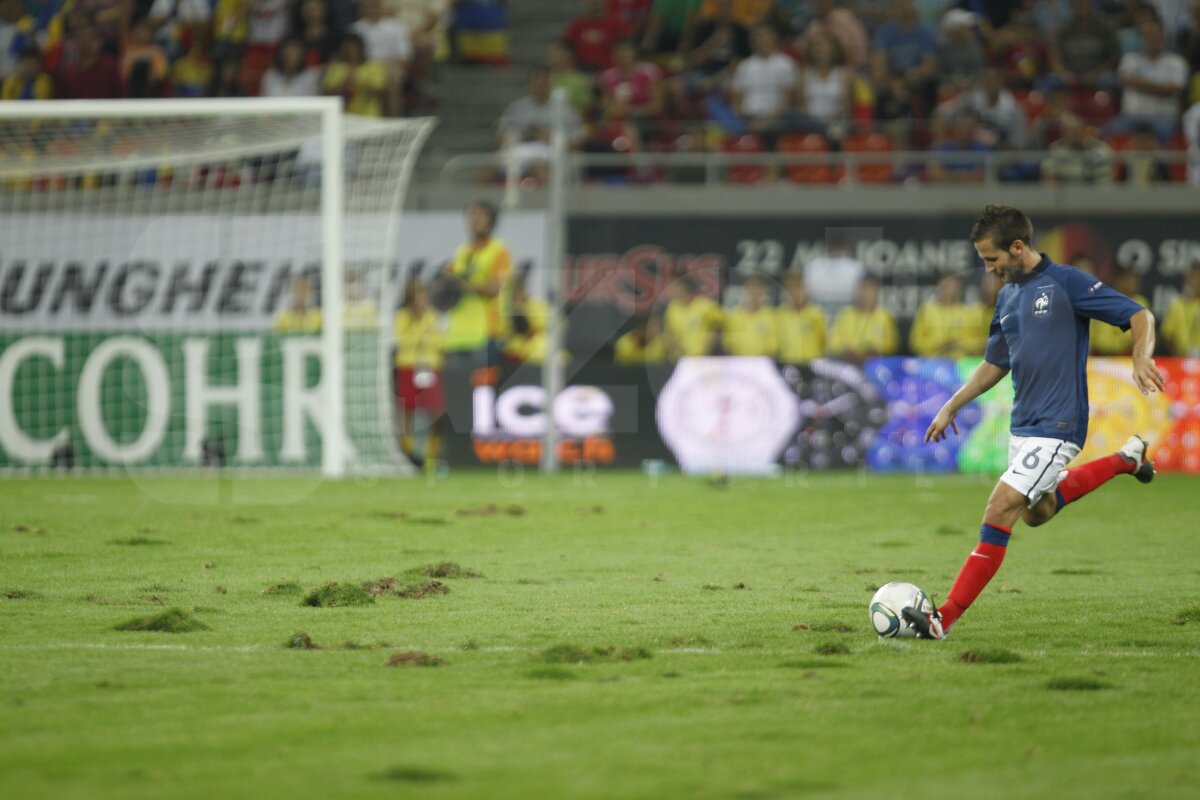 FOTO Am găsit soluţia pentru iarba de pe Naţional Arena » Băgăm spaima-n cîrtiţe :D