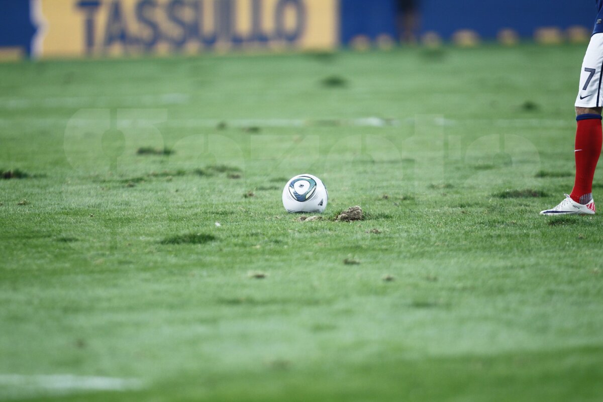 FOTO Am găsit soluţia pentru iarba de pe Naţional Arena » Băgăm spaima-n cîrtiţe :D