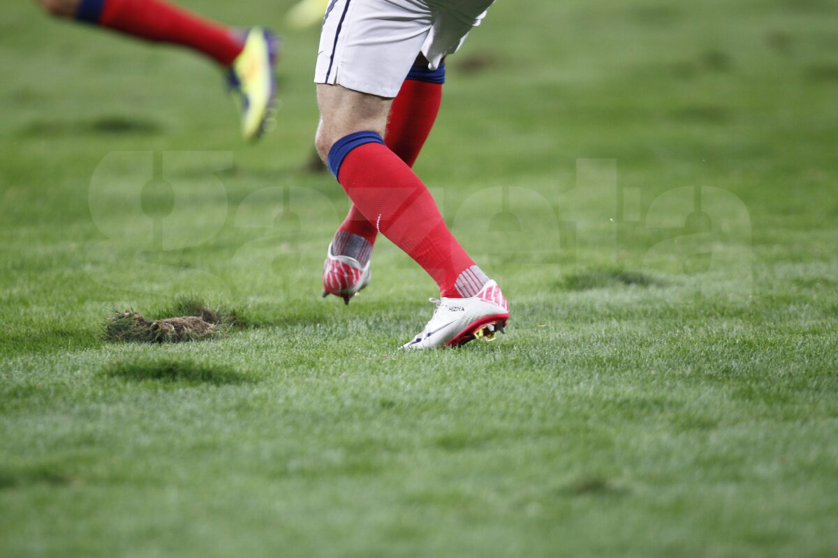 FOTO Am găsit soluţia pentru iarba de pe Naţional Arena » Băgăm spaima-n cîrtiţe :D