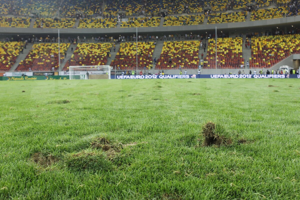 FOTO Am găsit soluţia pentru iarba de pe Naţional Arena » Băgăm spaima-n cîrtiţe :D