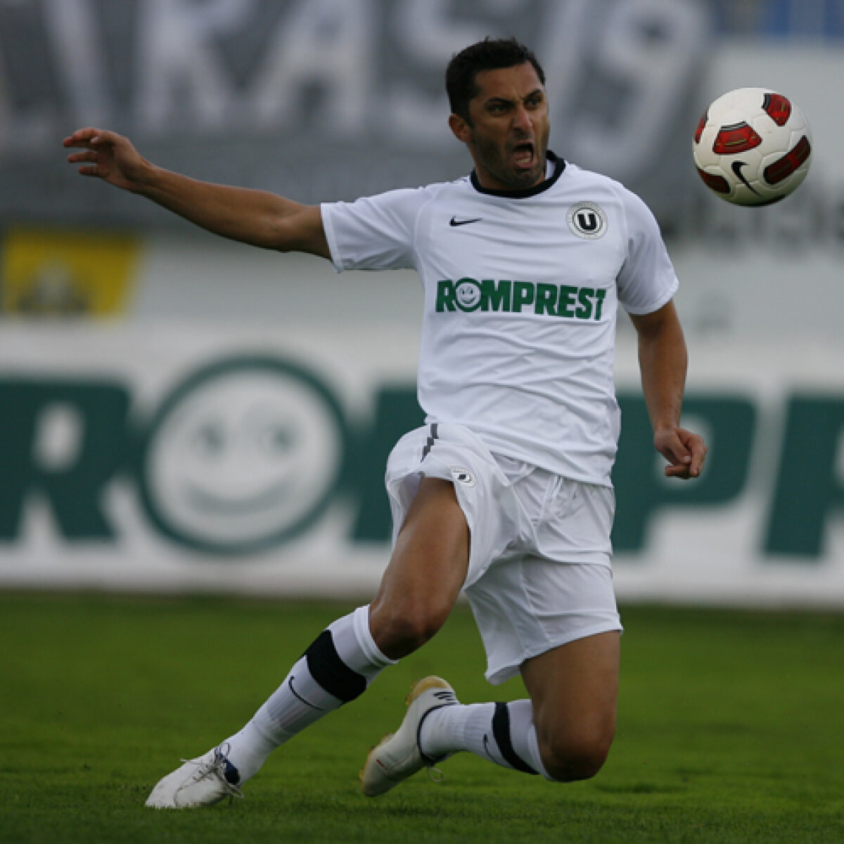 Strategie anti-Dinamo: Claudiu Niculescu ratează meciul cu Pandurii, ca să fie apt cu ”cîinii”