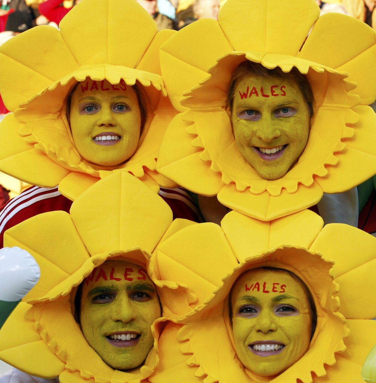 GALERIE FOTO din tribunele Mondialului de rugby » De meserie suporter