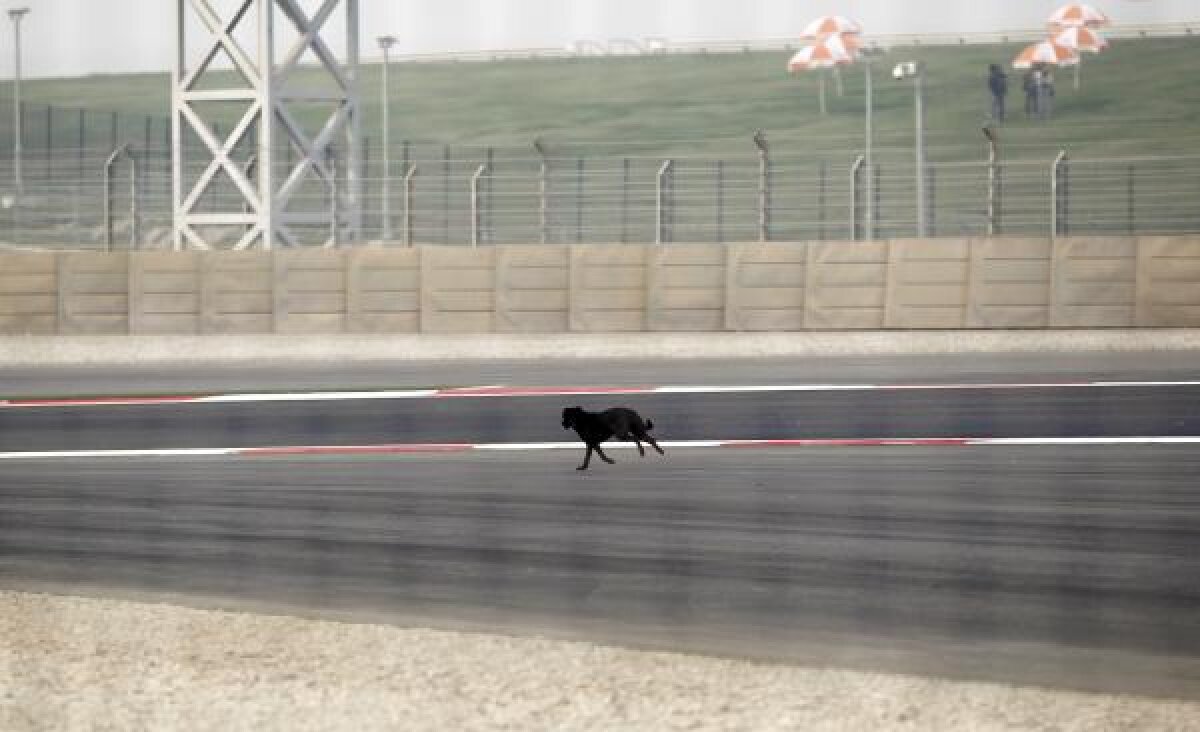 FOTO/ Spectacol în India » Abandon, cîini şi întreruperi în prima sesiune de antrenamente