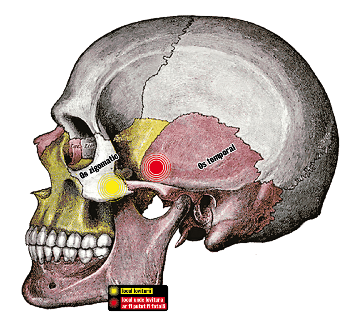 Varianta Stelei. Galamaz a fost la un pas de tragedie