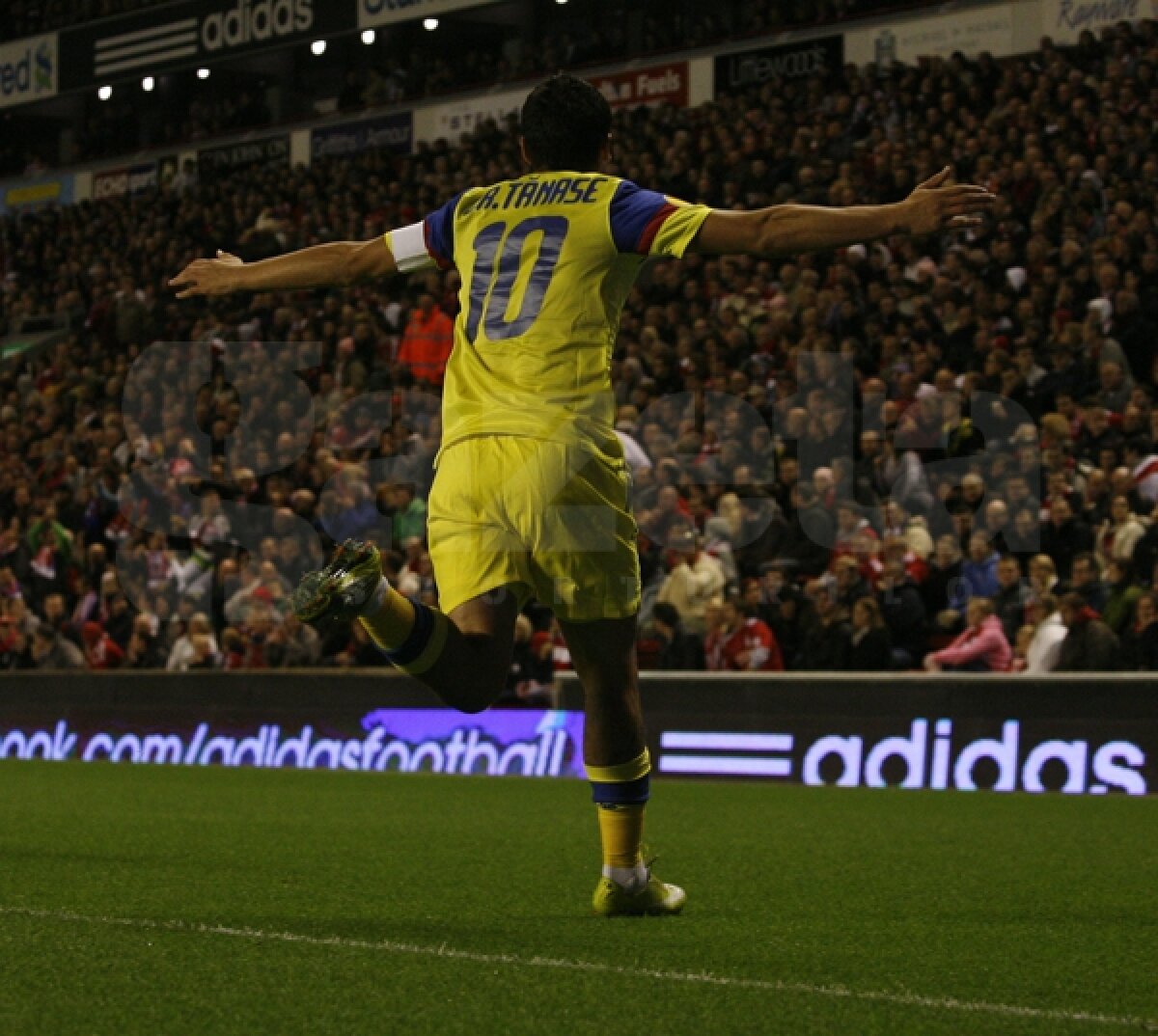 Secretul renaşterii lui Tănase » Cum a ajuns din dezamăgire eroul Stelei!