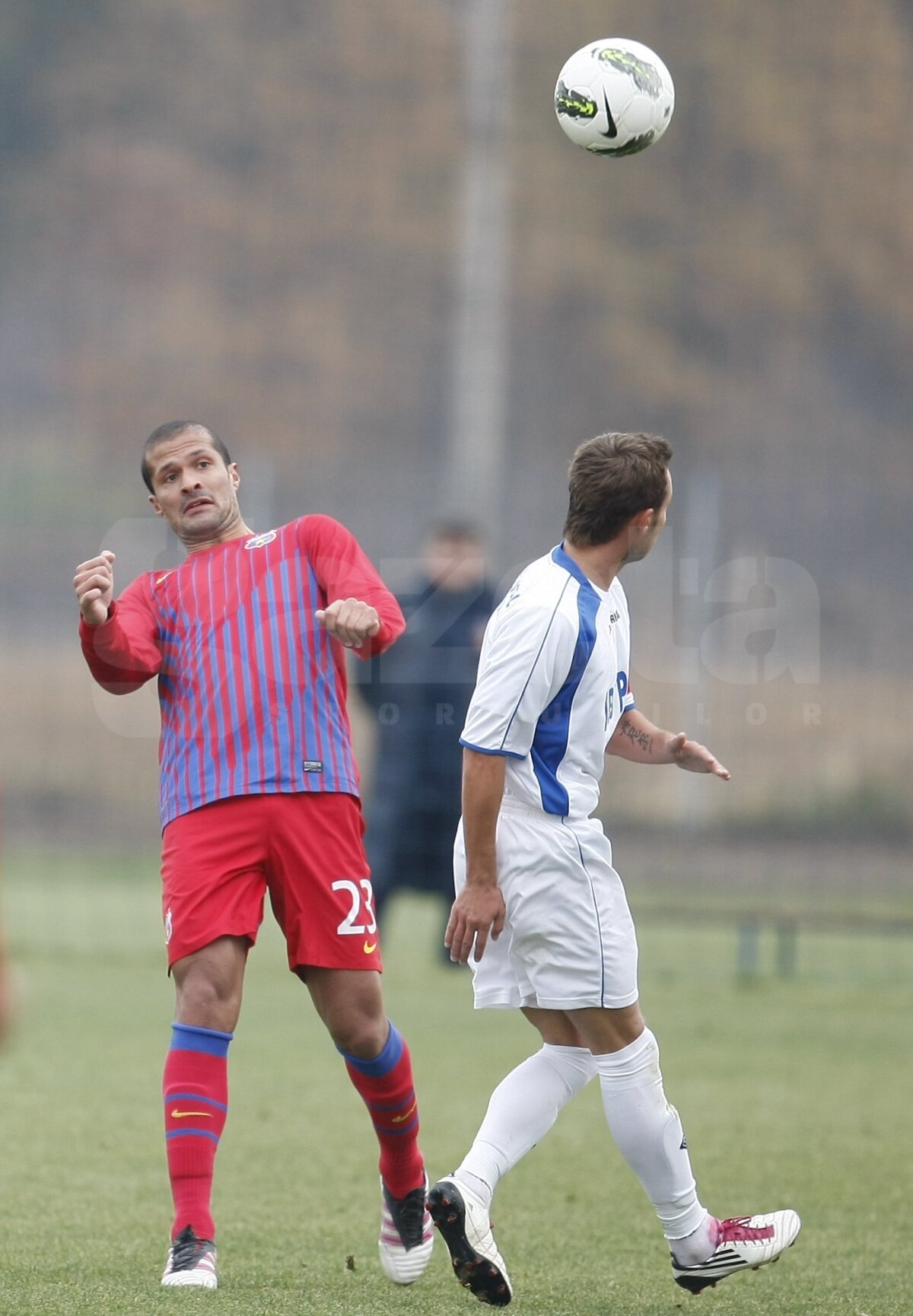 Steaua se impune fără probleme în faţa Argeşului Mihăileşti, cu 6-0