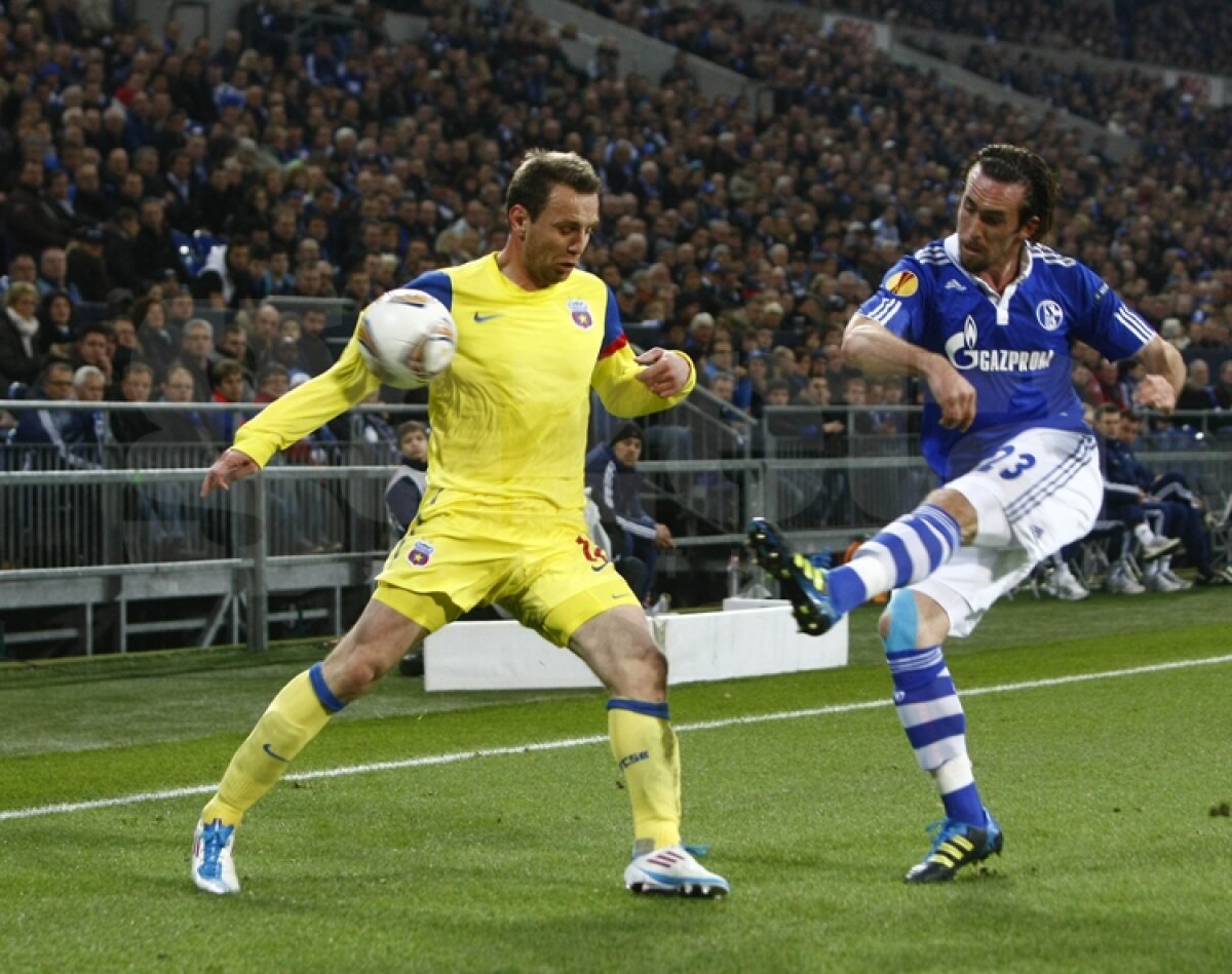 VIDEO Mai respirăm, dar greu » Calificarea Stelei se joacă peste două săptămîni » Citeşte aici cronica de la Schalke - Steaua 2-1, scrisă de Marius Mărgărit »