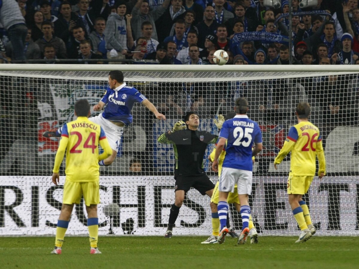 VIDEO Mai respirăm, dar greu » Calificarea Stelei se joacă peste două săptămîni » Citeşte aici cronica de la Schalke - Steaua 2-1, scrisă de Marius Mărgărit »